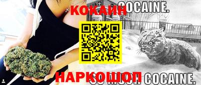 индика Новодвинск