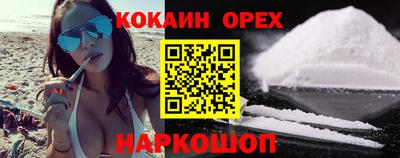 индика Новодвинск