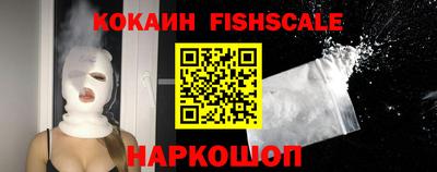 индика Новодвинск