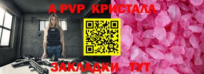 индика Новодвинск