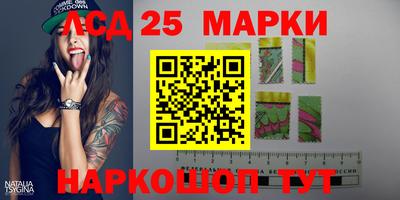 индика Новодвинск