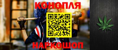 крисы Новокубанск