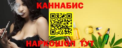 крисы Новокубанск