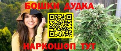 индика Новодвинск