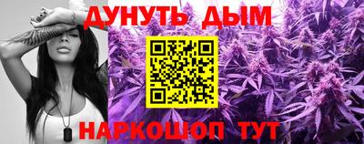 крисы Новокубанск
