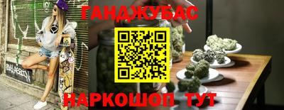 индика Новодвинск