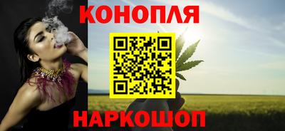 индика Новодвинск