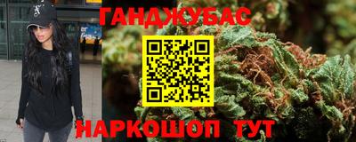 индика Новодвинск