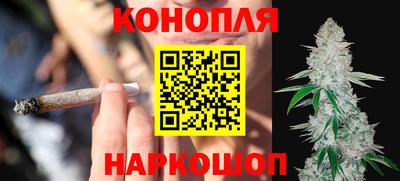 крисы Новокубанск