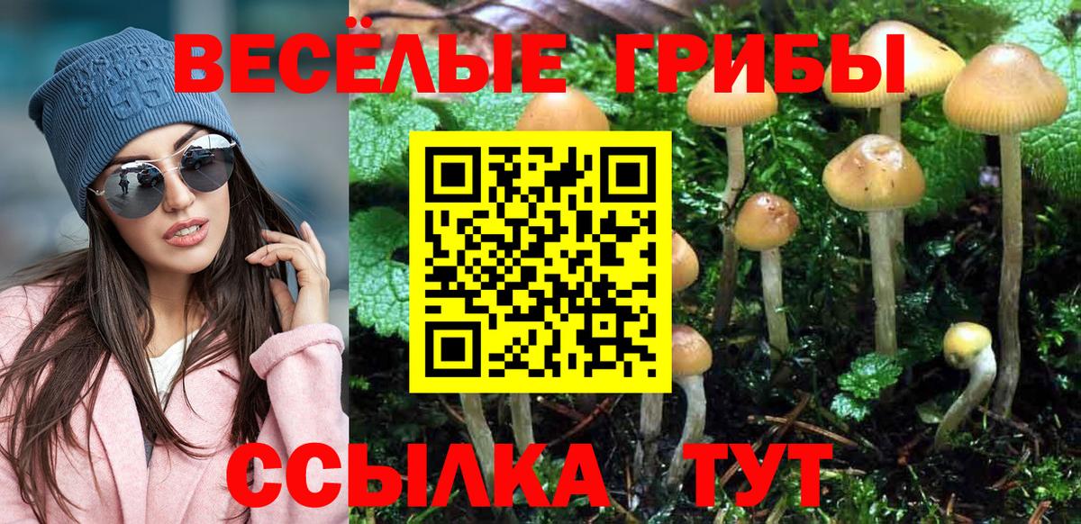 Псилоцибиновые грибы Psilocybe  Галлюциногенные грибы MAGIC MUSHROOMS  Тихвин  Вход с VPN 
